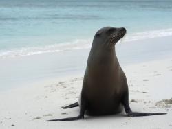 Фото из статьи основателя