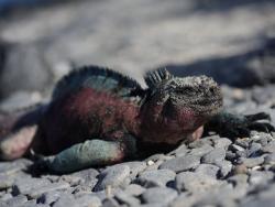 Фото из статьи основателя