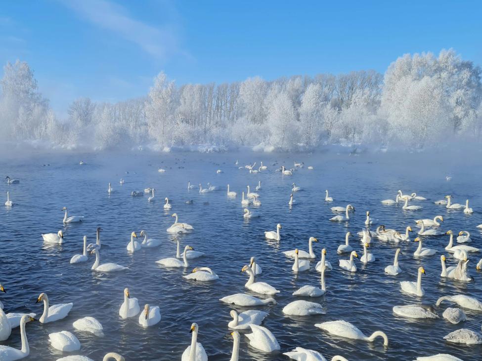 Озеро Светлое зимой