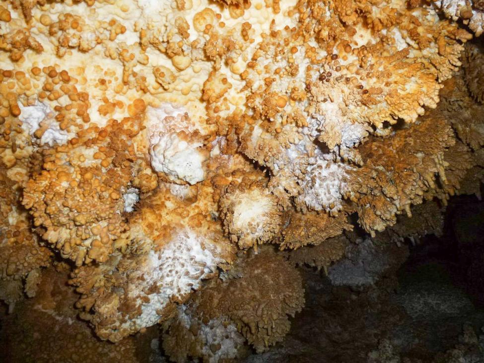 Музейная пещера