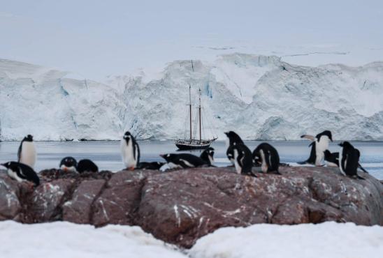 Ваш курс — Антарктида