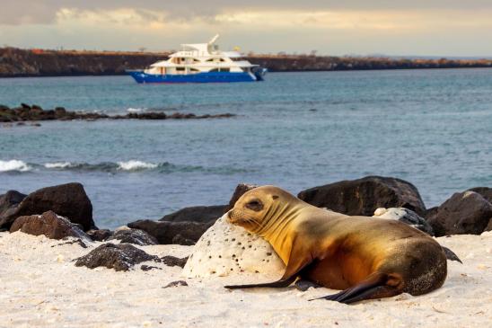Майские праздники на Галапагосских островах