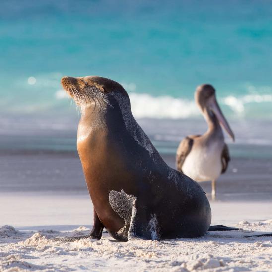 Майские праздники на Галапагосских островах