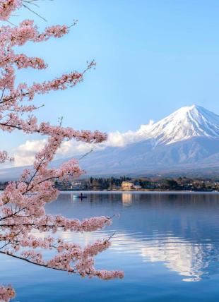 Цветущая Азия: весна 2026