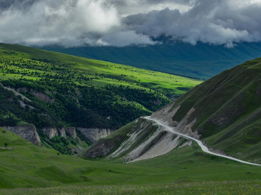 Фильмы и книги про Чечню