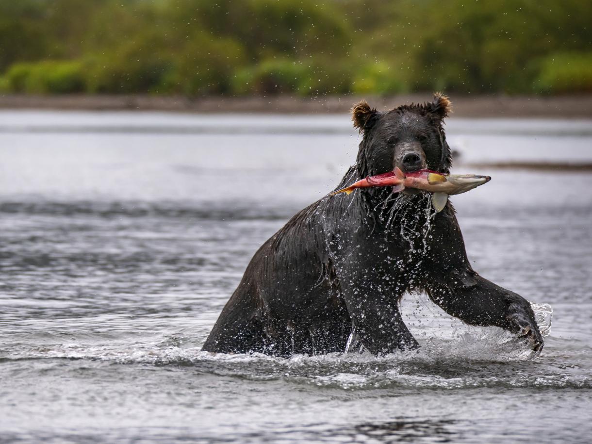 Курильское озеро