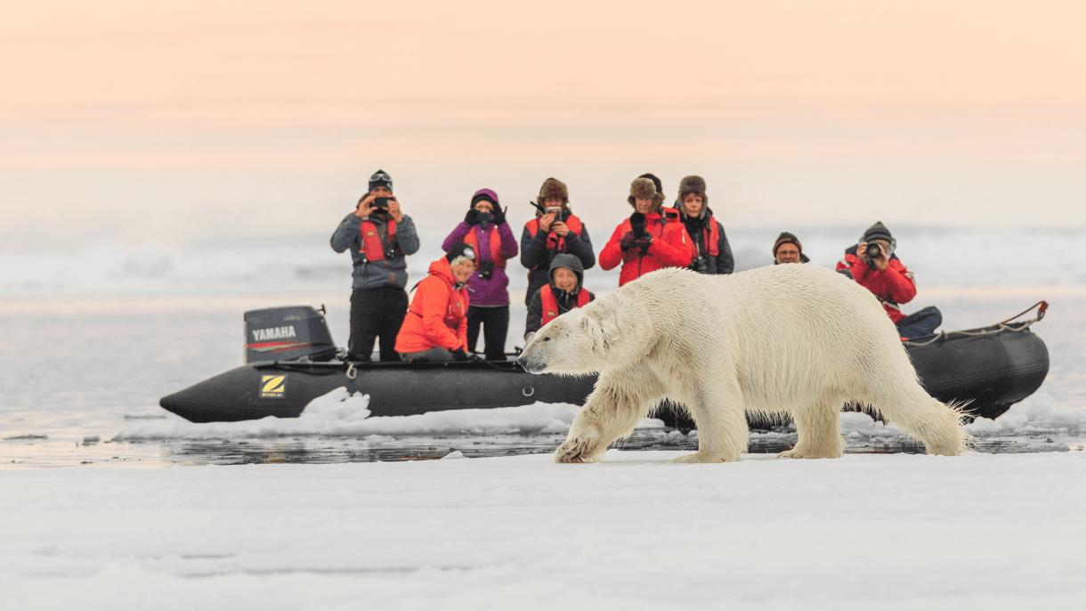 Приглашаем в круиз к Земле Франца-Иосифа