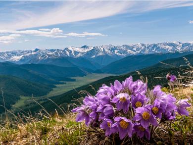 График работы RussiaDiscovery