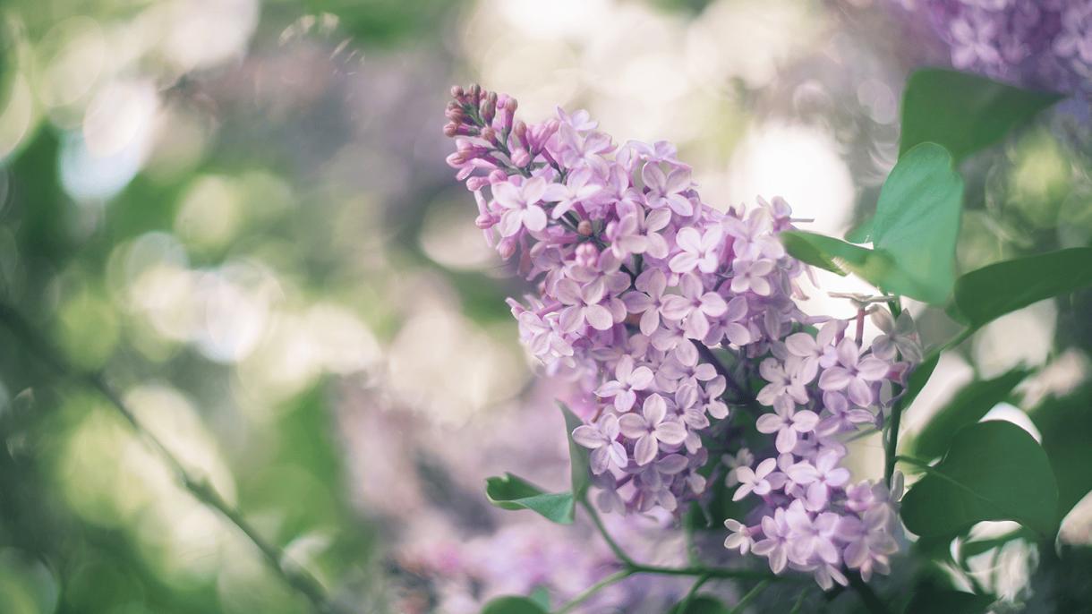 График работы RussiaDiscovery