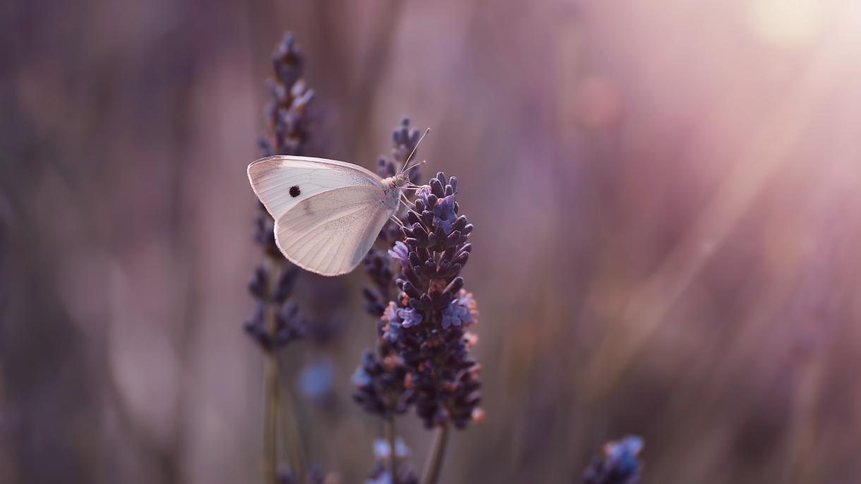 6 туров на майские праздники