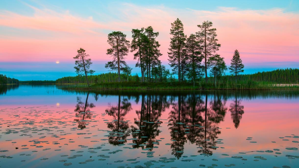 Фильмы и книги про Карелию