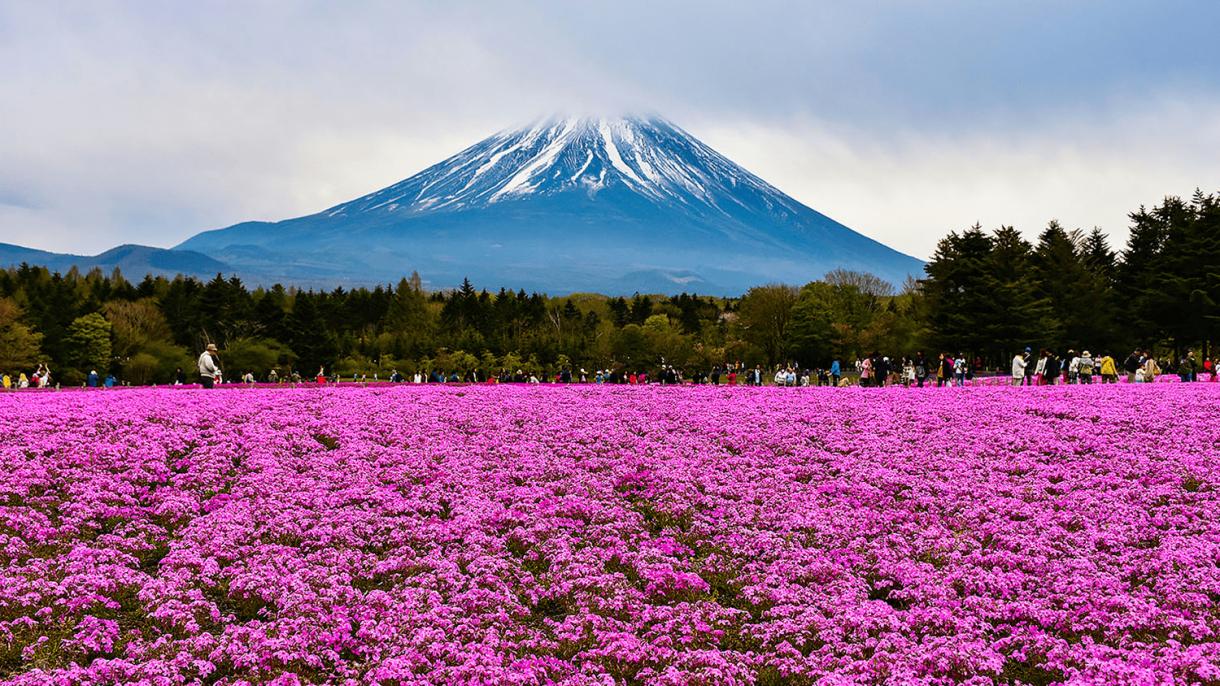 Приглашаем в Японию по выгодной цене