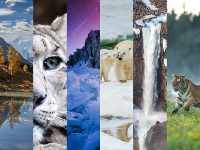 Все объекты природного наследия ЮНЕСКО в России