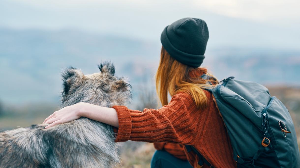 «Ты опять уезжаешь?» 😿 Стоит ли брать питомца в путешествие