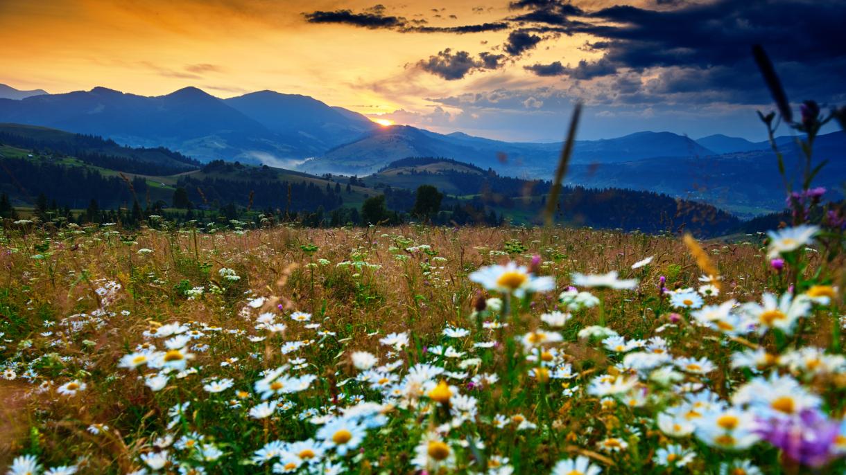 Последние места в хитовых турах по России