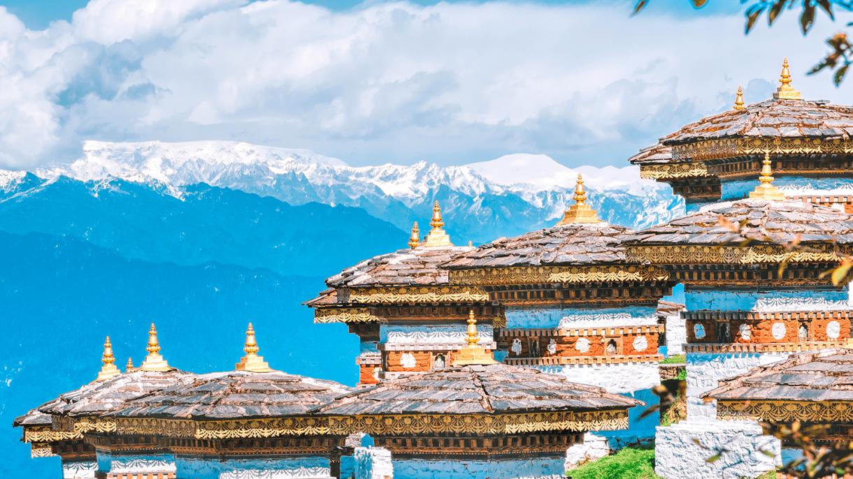 Путешествия в Бутан, Намибию, Камбоджу и Аргентину