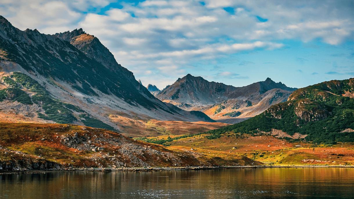 Командорские острова: что там на краю света?