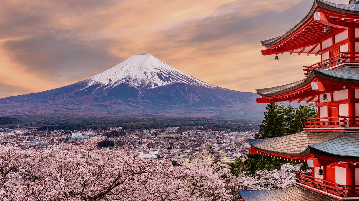 Последнее женское место в путешествии в Японию