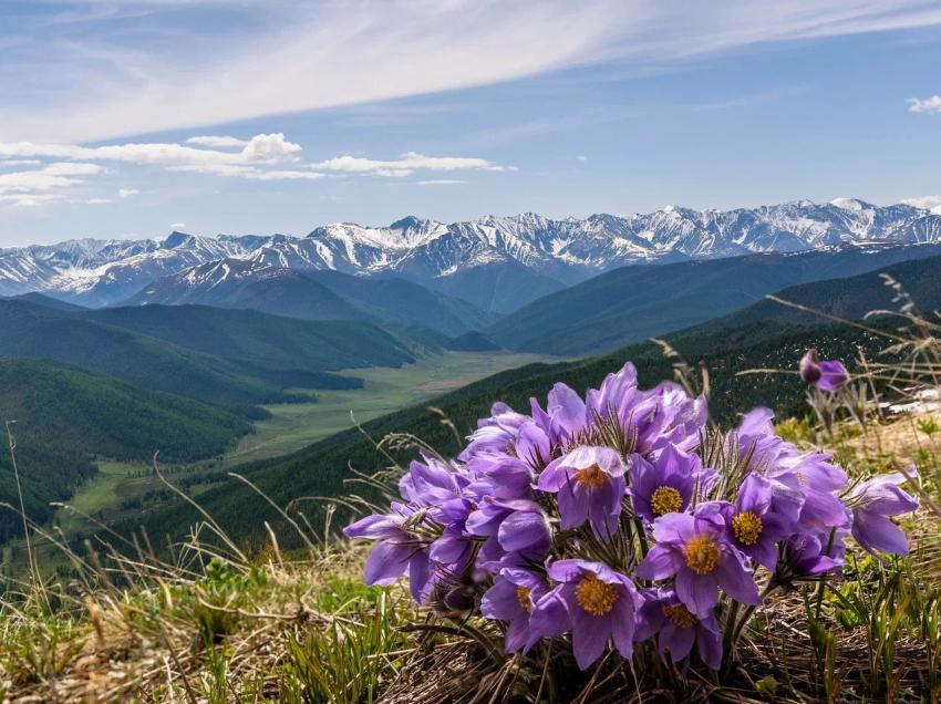 Куда поехать на майские праздники