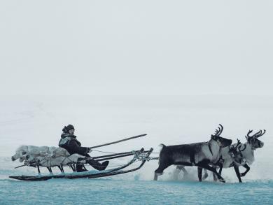 Фильмы и книги про Ямал