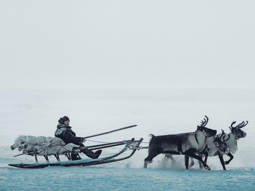 Фильмы и книги про Ямал