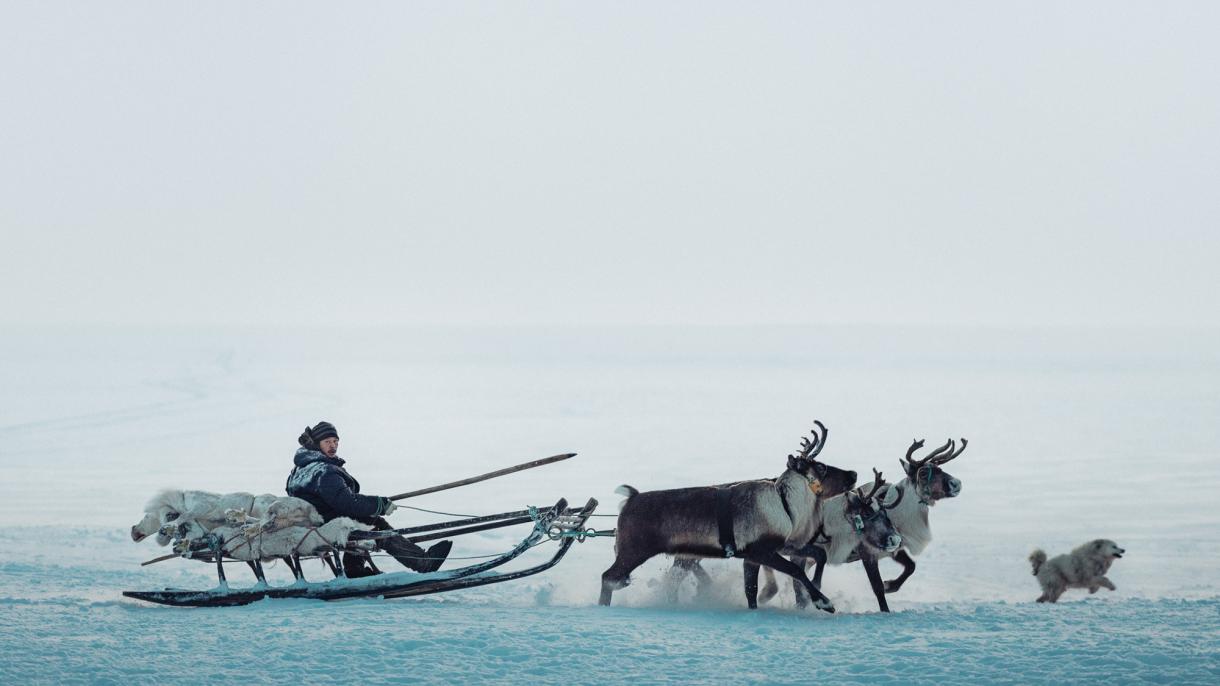 Фильмы и книги про Ямал