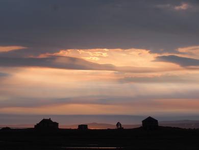 Путешествие вокруг острова Врангеля: где настоящее встречается с минувшим