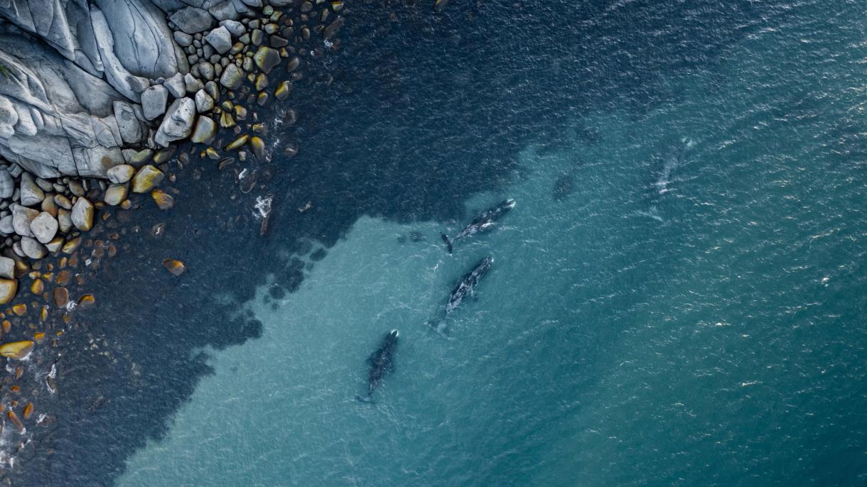 Проверили сами: Шантарские острова и бухта Врангеля
