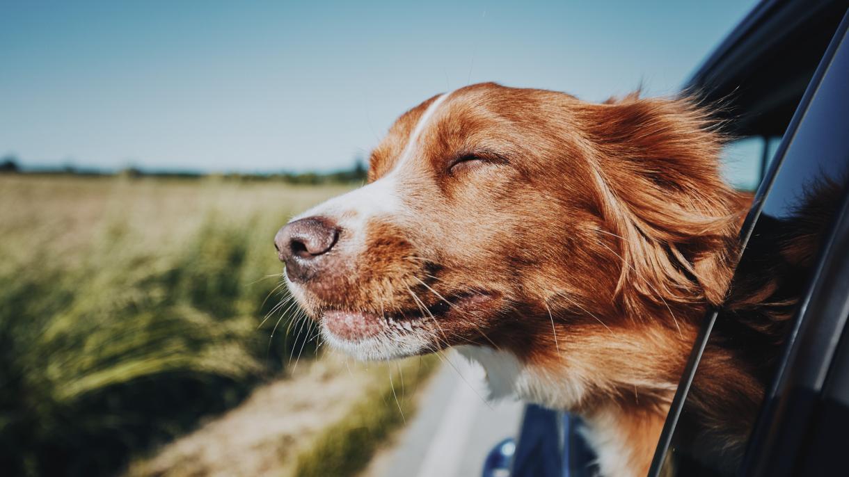 Тревел-тренды 2026 года: куда и зачем мы будем путешествовать