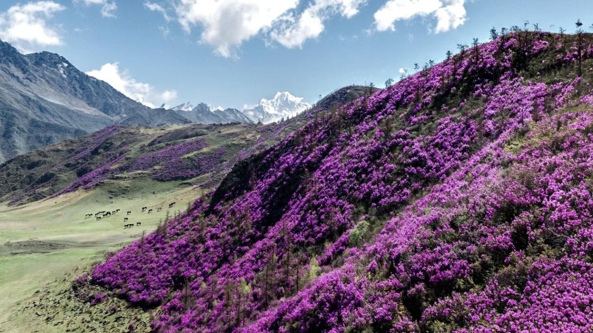 Путешествия по России и за рубеж на майские праздники