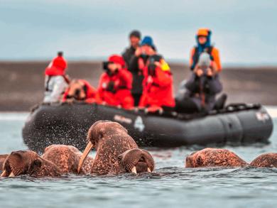 Обновленная программа лояльности RussiaDiscovery