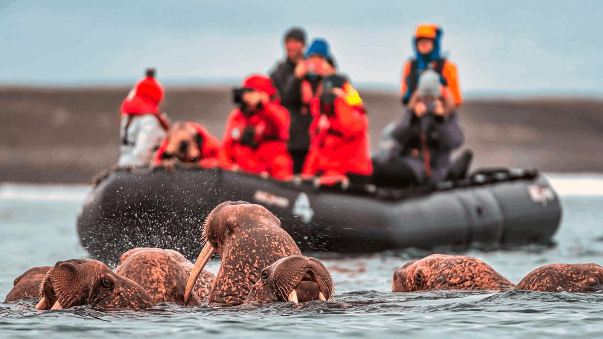 Обновленная программа лояльности RussiaDiscovery