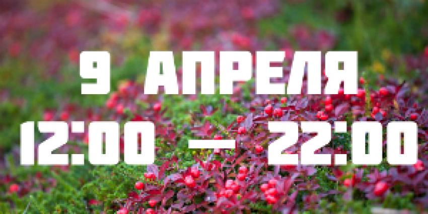 Фестиваль путешествий «Россия и ее сиятельства»