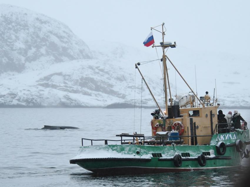 Путешествия со смыслом