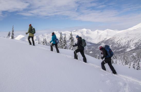 Поднебесные Зубья