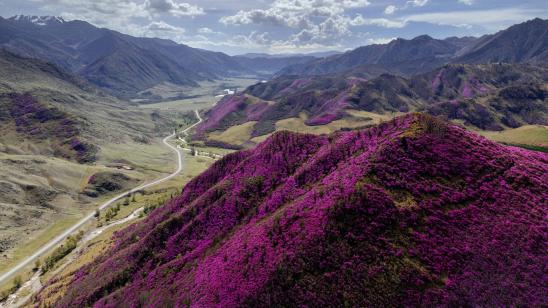 Весеннее путешествие по Чуйскому тракту
