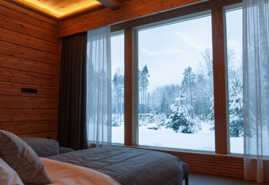 Тишина снежного леса