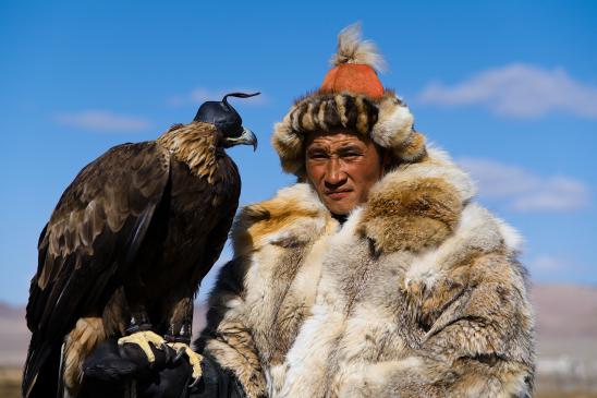 Крылья монгольской степи