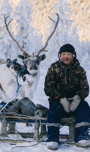Пожить жизнью оленеводов