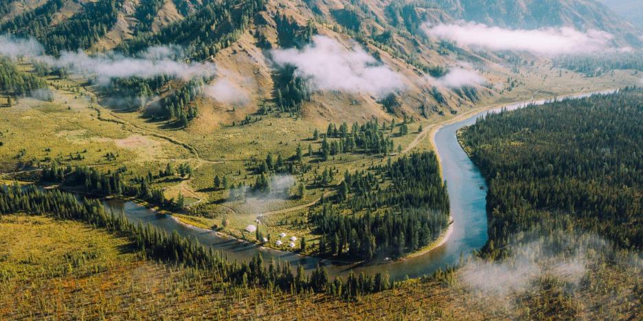 Глэмпинг Mamont Camp Алтай