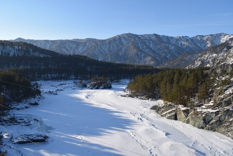 Фото из отзыва