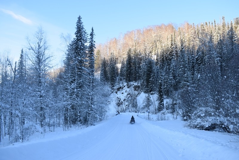 Фото из отзыва