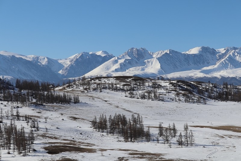 Фото из отзыва