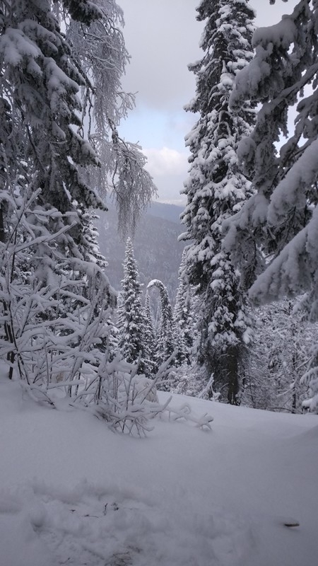 Фото из отзыва