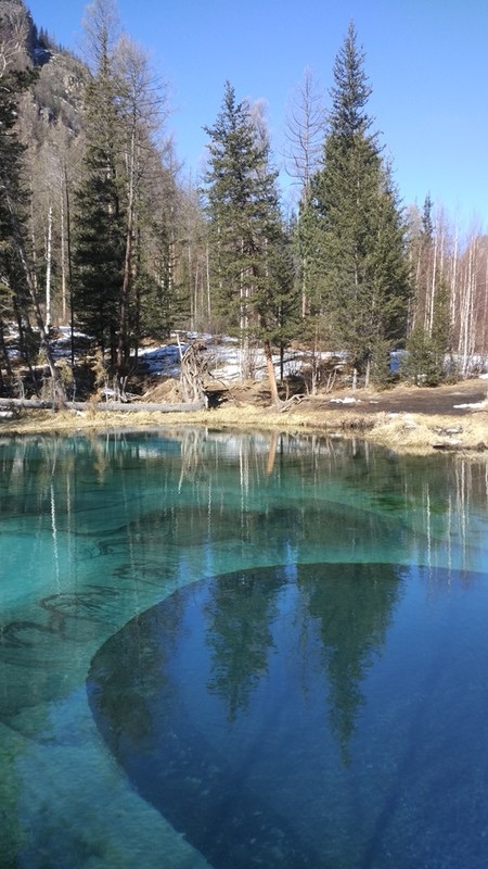 Фото из отзыва