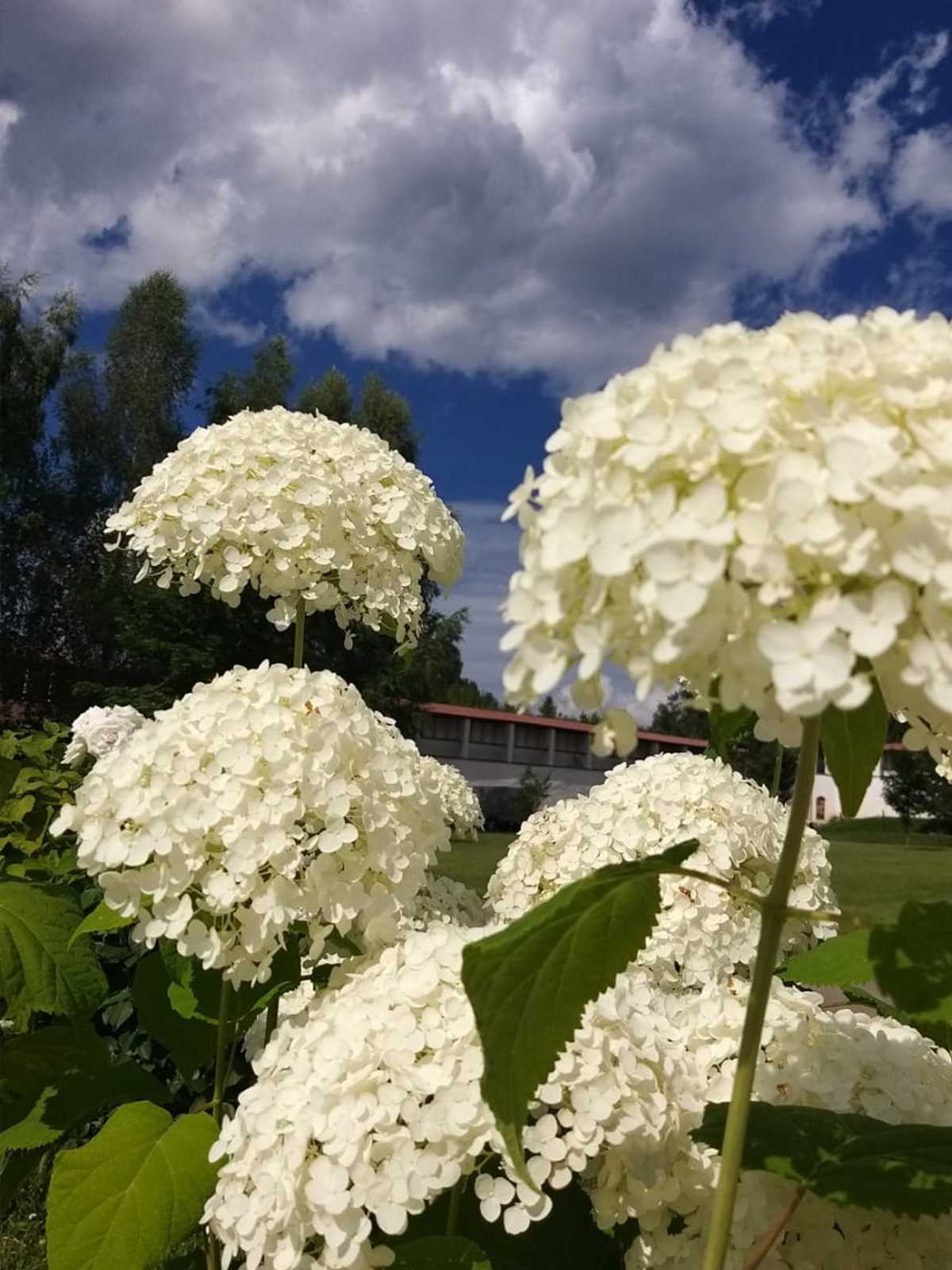 Фото из отзыва