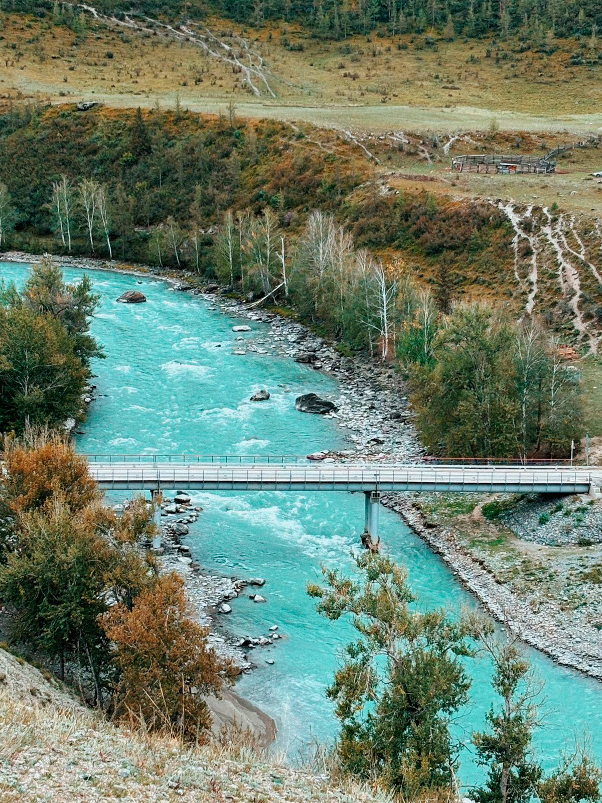 Фото из отзыва
