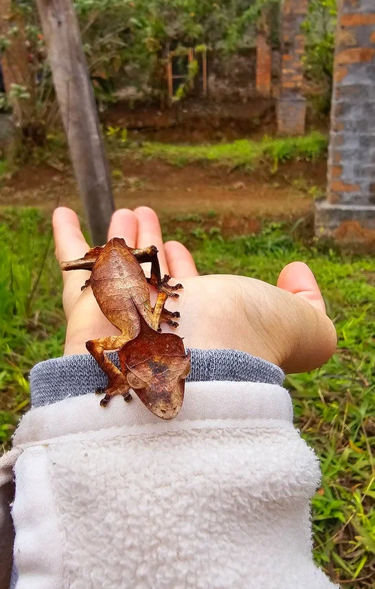 Фото из отзыва