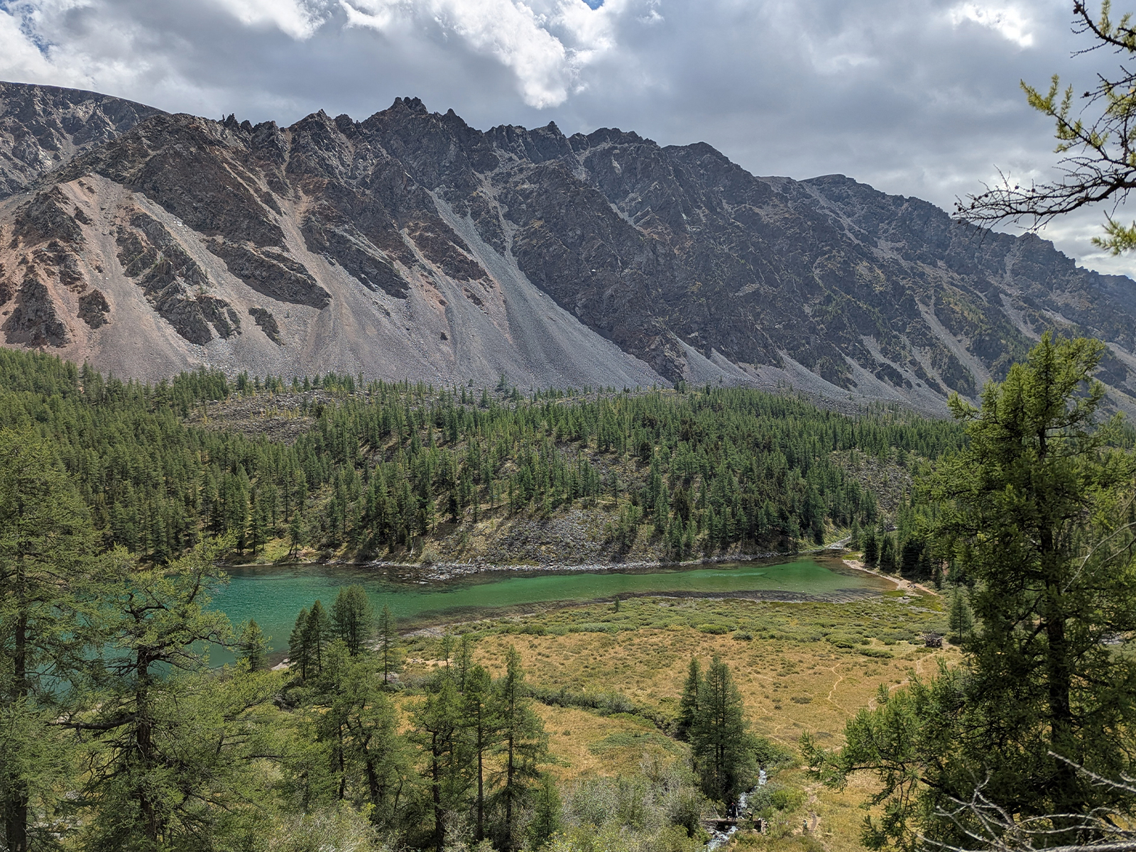 Фото из отзыва