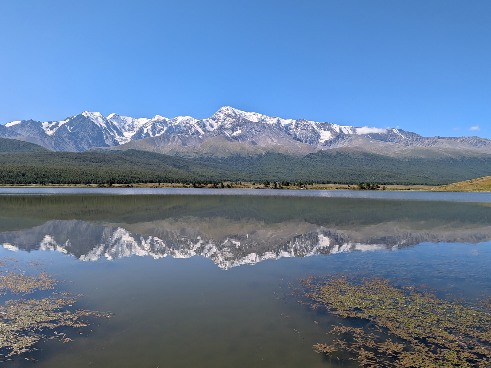 Фото из отзыва